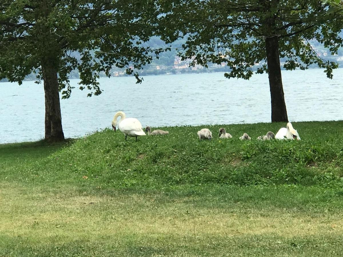 Appartamento Lake Como Gravedona Bagian luar foto